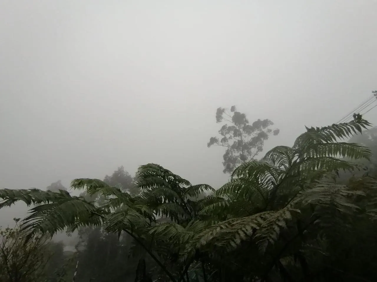 Tea Bound Resort Nuwara Eliya Sri Lanka